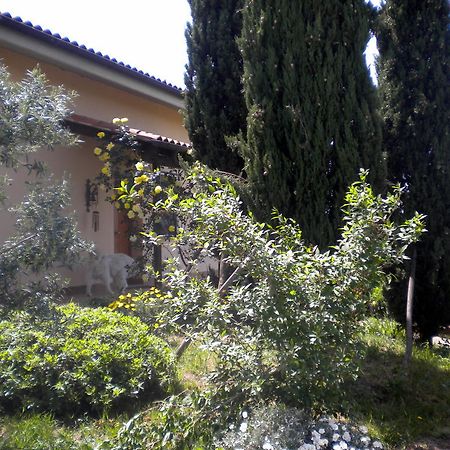 Le Tre Querce Bed and Breakfast Fiano Romano Buitenkant foto