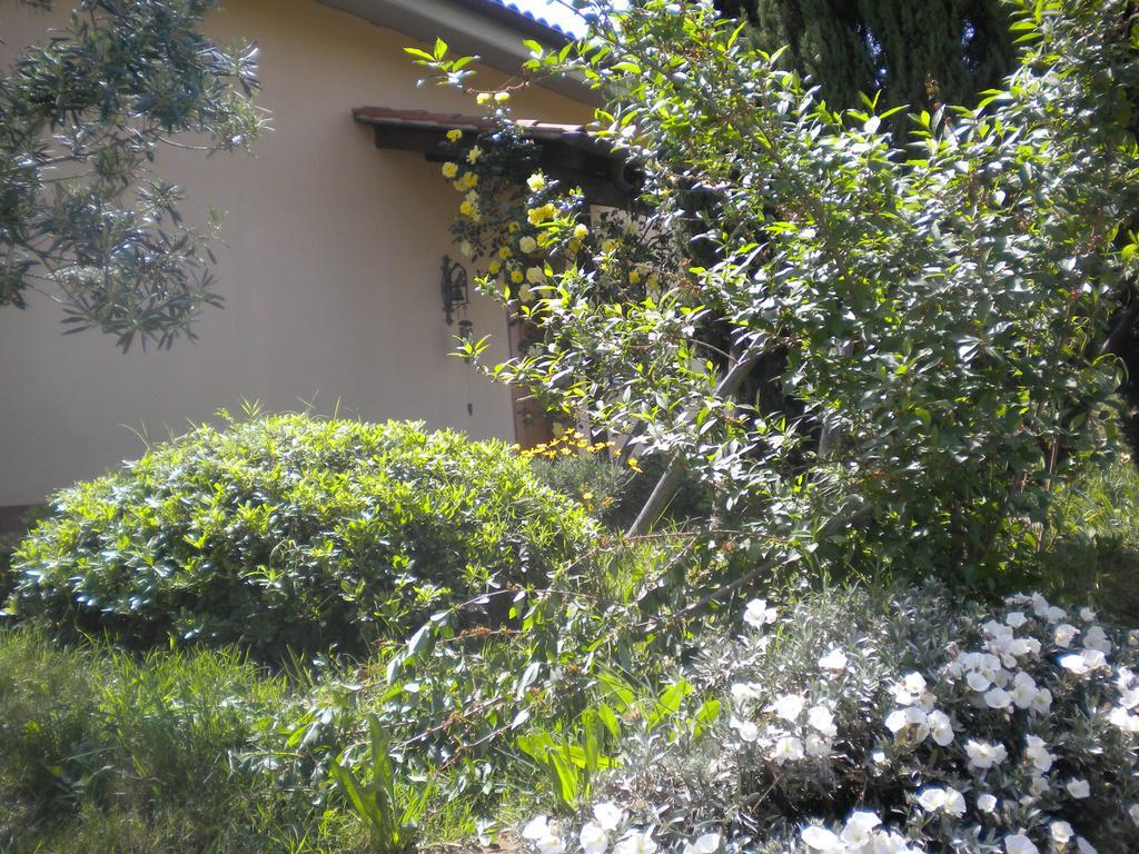 Le Tre Querce Bed and Breakfast Fiano Romano Buitenkant foto