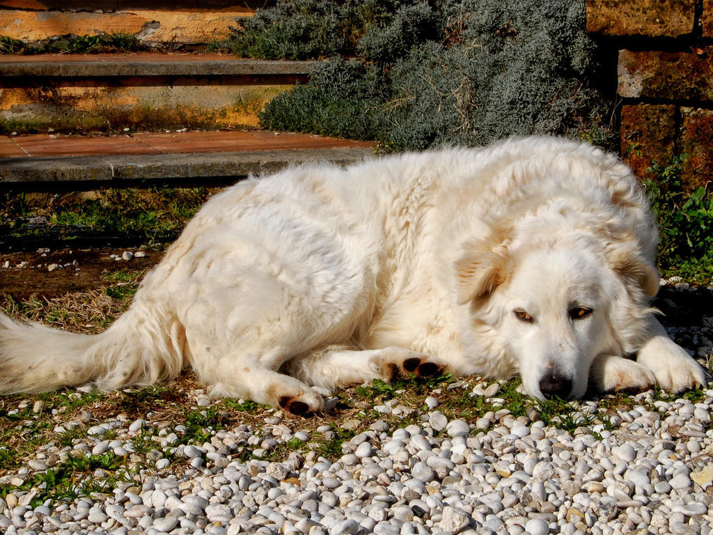 Le Tre Querce Bed and Breakfast Fiano Romano Buitenkant foto